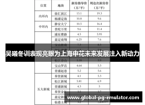 吴曦冬训表现亮眼为上海申花未来发展注入新动力