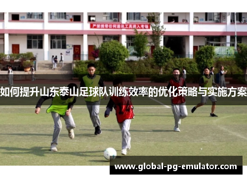 如何提升山东泰山足球队训练效率的优化策略与实施方案