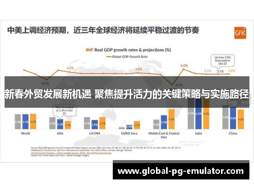 新春外贸发展新机遇 聚焦提升活力的关键策略与实施路径