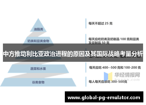 中方推动利比亚政治进程的原因及其国际战略考量分析
