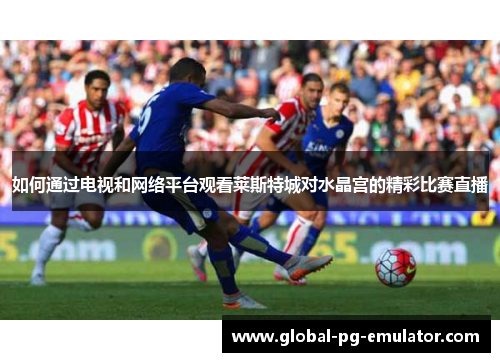 如何通过电视和网络平台观看莱斯特城对水晶宫的精彩比赛直播