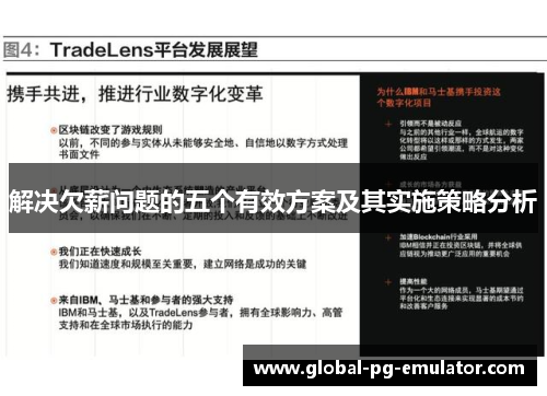 解决欠薪问题的五个有效方案及其实施策略分析