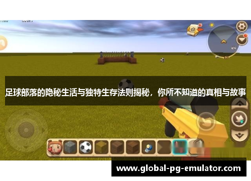 足球部落的隐秘生活与独特生存法则揭秘，你所不知道的真相与故事