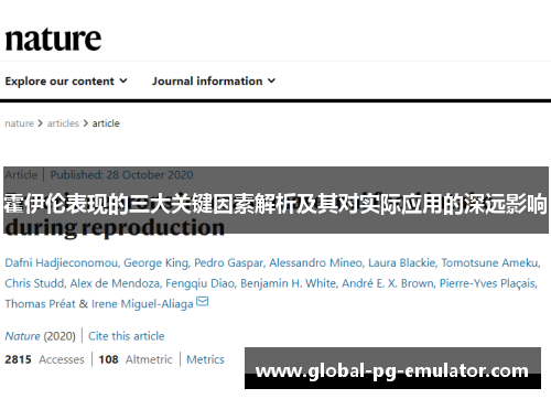 霍伊伦表现的三大关键因素解析及其对实际应用的深远影响