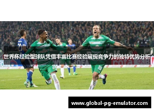 世界杯经验型球队凭借丰富比赛经验展现竞争力的独特优势分析