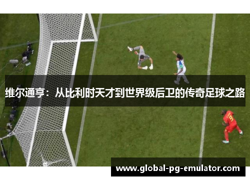 维尔通亨：从比利时天才到世界级后卫的传奇足球之路