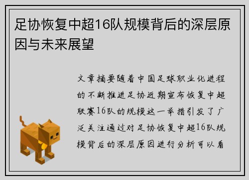 足协恢复中超16队规模背后的深层原因与未来展望